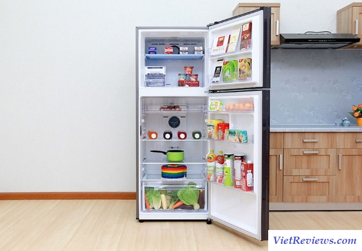 Tủ Lạnh Inverter Samsung RT20K300ASE 208L